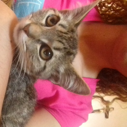 D 09f3c25d 7105 48a6 8fd1 2b7df85122df