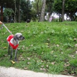 D c22a7164 b67d 4412 889e 64b750e426fb