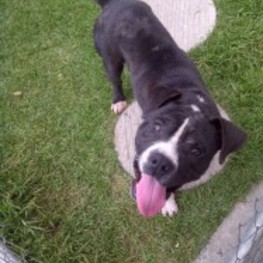 D d2bfdd87 aa2f 407e bea5 122950098a19