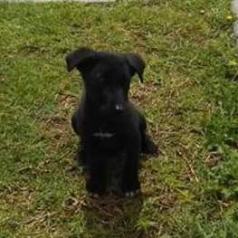 D 6c385921 0519 44c2 914e d71a58f3bda0