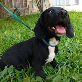 D 0cce9d38 1952 45fb bc6f cf954ab2b7bd