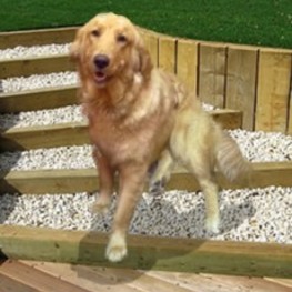 D a58cf693 5c9a 4040 8182 e9b605ac2931