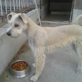 D b3c2b566 2e1a 4311 9030 1afe1fb3505f