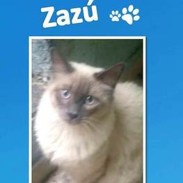 D 2e40616c c040 4c25 ba86 803d9efbe9dd