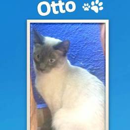 D 6b4be018 441a 483a 9f47 ba6bc704c719