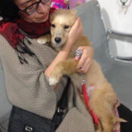 D b711f517 bf29 4608 9a35 9b9e95e69f93