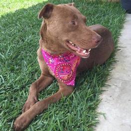 D 7dabe9fe 0f5a 4758 8817 577a72e9ec59