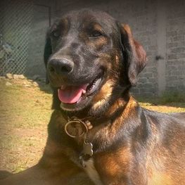 D 893496e5 341d 4b3e ab14 860749344022