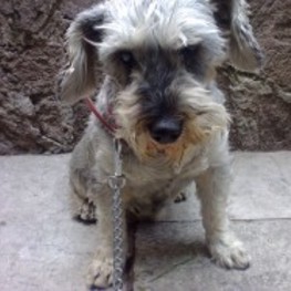 D 8eda96e8 b124 4041 9151 2d66d7865ff8