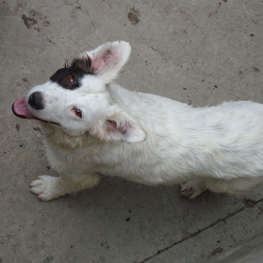 D c459b98c a620 4a13 9a78 5ff47a4bd549