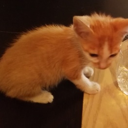 D 58042850 a2ce 4b05 8f72 59a8bc736f6d