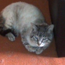 D 6b57a22d 0931 4996 abdf 466b362de071