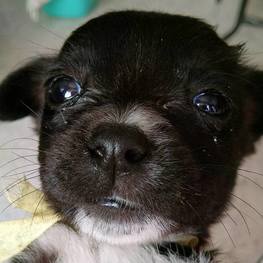 D e9dac481 8f77 4657 a239 ec19f2f87a0b