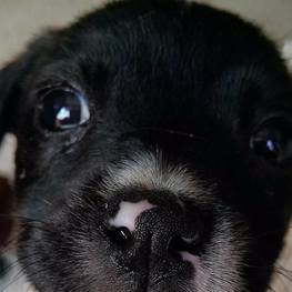 D e57ebecf 58ca 4b35 9f75 fd393931ed96