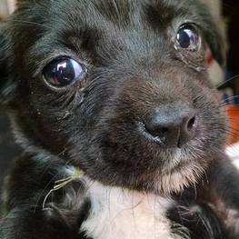 D c4570165 b6ce 4fcb be61 259cc6b3a232