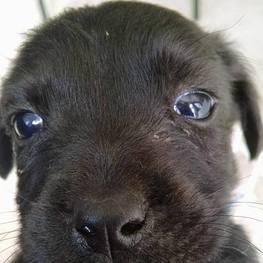 D be9076f8 b314 4bd1 8154 c61045cc3403