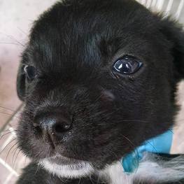 D 5fdc99f4 e6e9 419b 837e 67b9ac2076a8