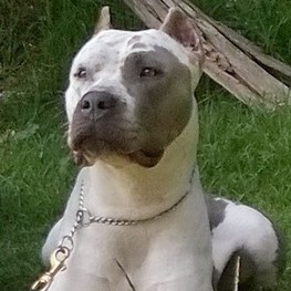 D d94cd99d 5afd 4131 be13 aae1ad6bcf2a