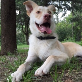 D 59de7e64 8184 45dd b877 c382a8fa854a