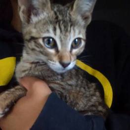 D 774d7193 b6c7 4534 8d9d 2cbde5194b06