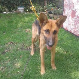 D 7bd6691b ef78 4506 b777 524a408a44ef