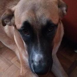 D 54a4fbdc 31c2 4036 a8d0 4dc51065724a