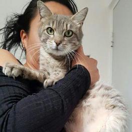 D e4c65edb ab99 481d bd86 837103c4c84b