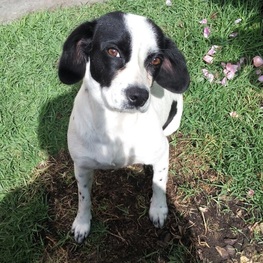 D 9e3f5732 a2b6 4b28 b1a5 416d7c3887e1