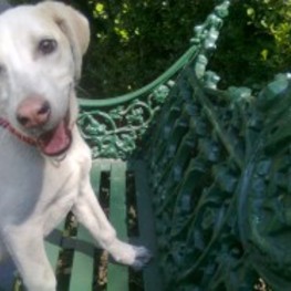 D 0efb30a7 c1ce 4a1d 919f de65aba9cc56