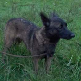 D 2e4a31ae 3849 427f 9487 8833029c9148