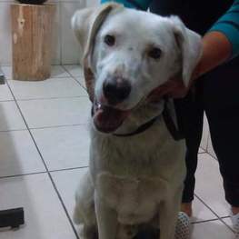 D a8e28640 c79b 4f7b 8440 71e114200820