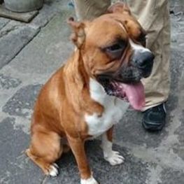 D 60a87b78 d255 480a 9e70 6846ad4a6682