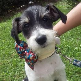 D a4c7dbca 49a1 475a baec e446000b7585