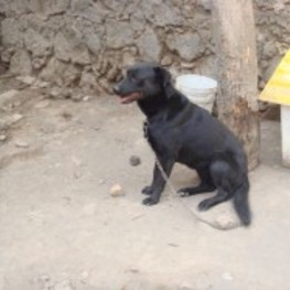 D 0d08f147 23db 4c65 936f c6e29c3def3b