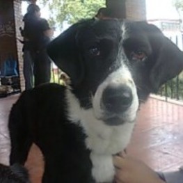 D 6ca5aca7 3a07 4a8f 951c 1d99298b0970