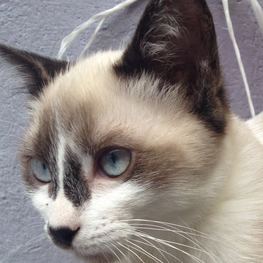 D eaab152d f986 466d a107 81b2ad706b7c