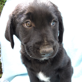 D 7ee8a1d7 3e35 4e44 94bb d7c81e8cab96