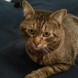 D 8b547590 3f3a 46fd bdf4 8ff6638e3d96