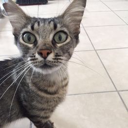 D bca898cd 365d 4f88 8df7 a73d6c4a94eb