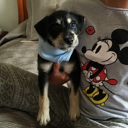 D a5033b7c f32d 486d a278 3615ec3a44ef