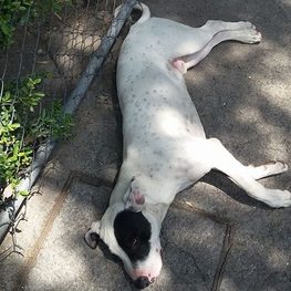 D 56de9528 fbd6 46fe 99b8 b74e878c3f65