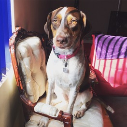 D 3c8e6a11 4ab9 4a1a a6d3 7cd515751a7f