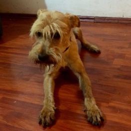 D e9c9f96b 65dd 4a34 911a 748f192f4a86