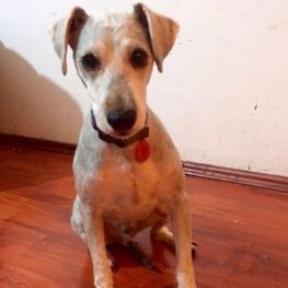 D 978a960d 633b 4a36 94e0 9d978b6c3071