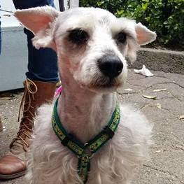 D 1a8b6f11 a341 4a11 9c45 a44e7d8c4204