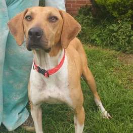 D fd3ef2cf d62d 4087 830b c30f323d5891