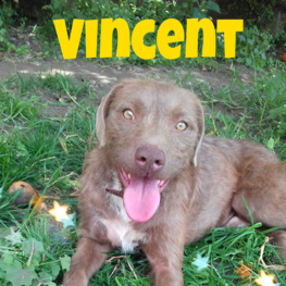 D 543231b5 27c6 4e30 be36 71141d35bf0e