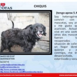 D d809e74a d2a7 474d 9ec4 c4bdab8451b3