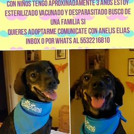 D 0771fd37 33c3 469c 9688 490af7801ca0