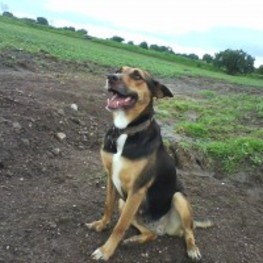 D ccae4b19 7e49 4cc6 a24e e44578ea05ae